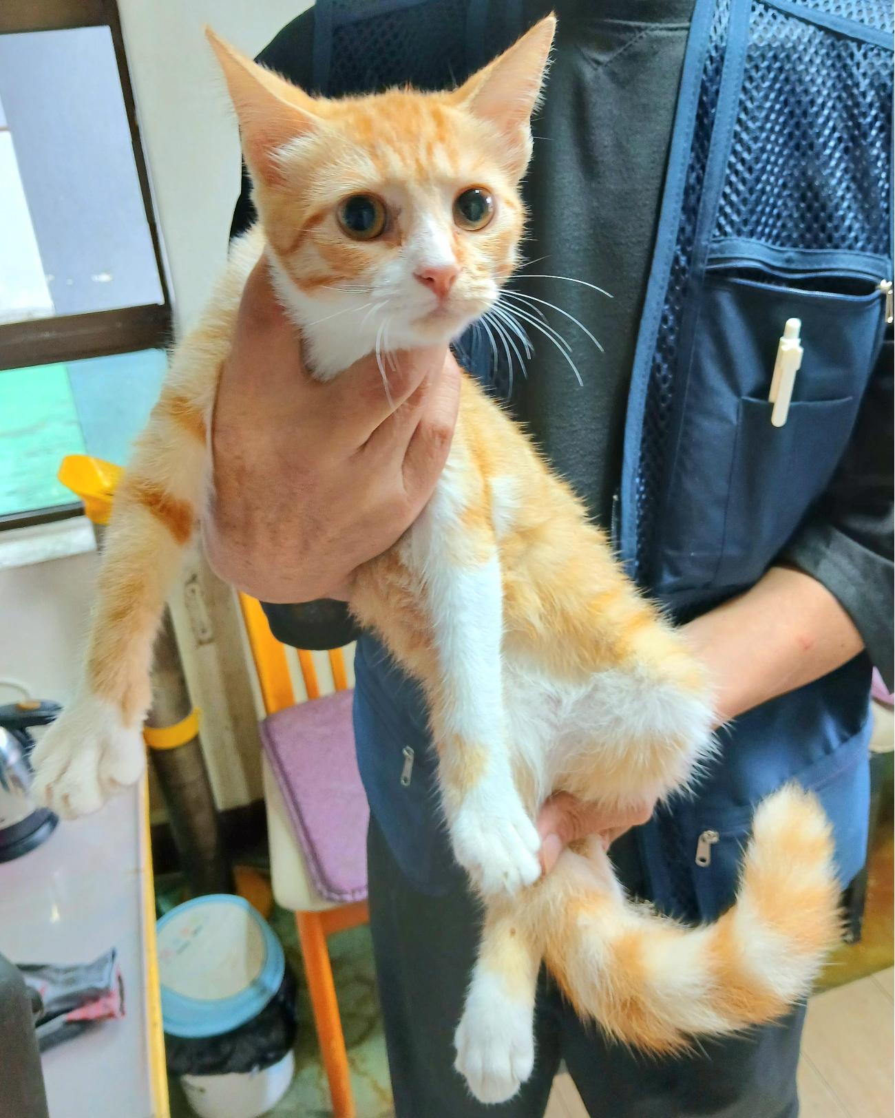 금왕동물병원_443447202501003
